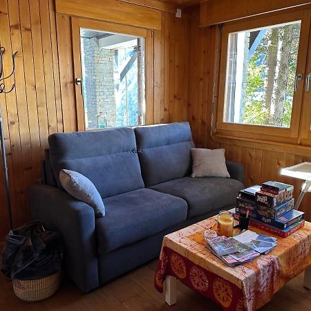 Chalet Edelweiss A Saint-Martin, Val D'Herens Exterior photo